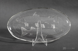 colorless fish platter