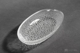 Herring plate Asteroid Jan Sylwester Drost